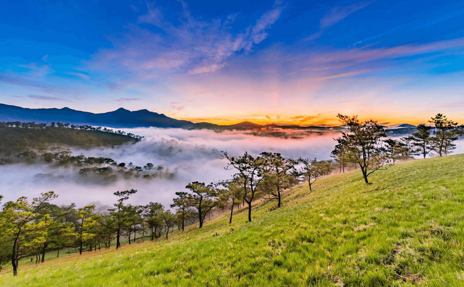 Khung cảnh Đà Lạt